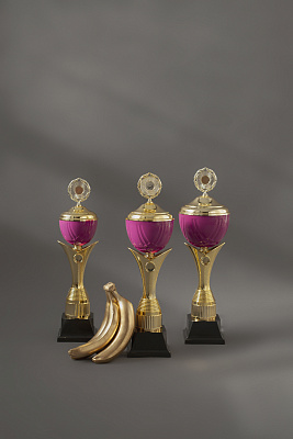 Кубок 1006 Аметист 