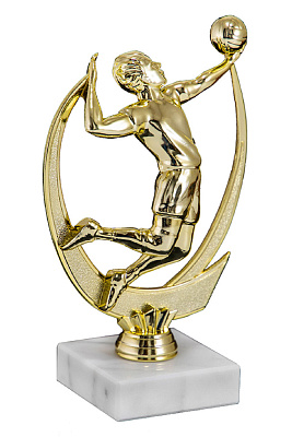 Приз 190-170 G "Волейбол" 