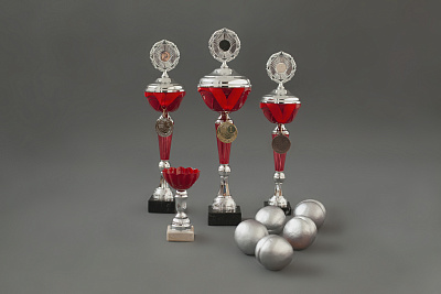 Кубок 090 Алые паруса 