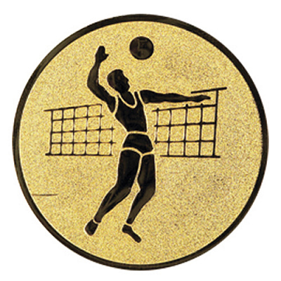 Эмблема "Волейбол" 19-25 мп
