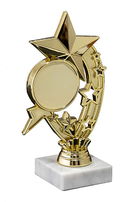 Приз 07-190 G "Звезда" 