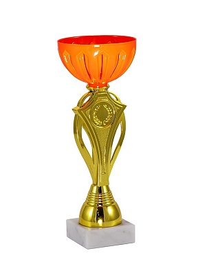 Кубок 139