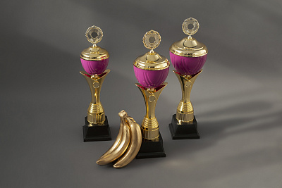 Кубок 1006К Аметист 