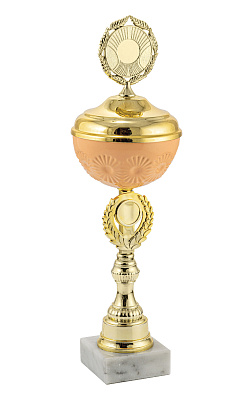 Кубок 489К Персиковый пух 