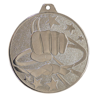 Медаль 702 Каратэ 