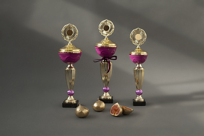 Кубок 099 Сирень 